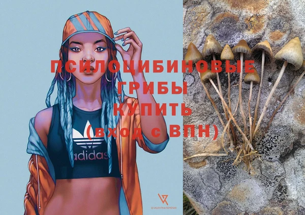 дживик Армянск