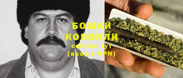 PSILOCYBIN Арсеньев