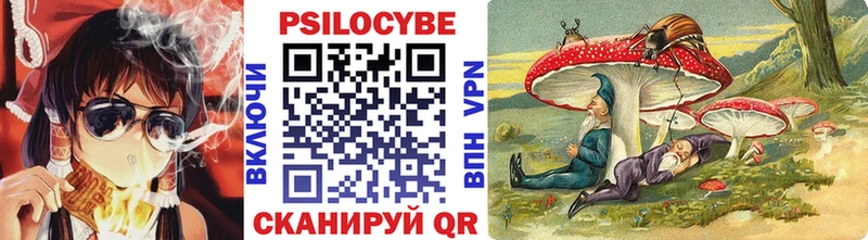 Псилоцибиновые грибы GOLDEN TEACHER  Серов 